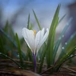 Yongsu Jo - @thaliasullivan61 - Instagram
