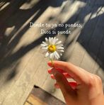 Thalia Tapia - Facebook
