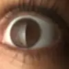 thaliawilson5 - @thaliawilson5 - TikTok