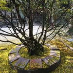 Tham Chau - @chau.tham - Instagram