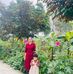 Tham Le - Facebook