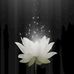 Tham Le - Facebook
