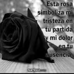 Rodriguez Thamar - @rodriguez_thamar_21 - Instagram