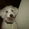 Thamara Perez - @irisp2019 - TikTok