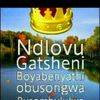 thami ndlovu298 - @thamindlovu298 - TikTok