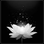 Than Chau - Facebook