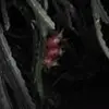 ThanChau - @thanchau74 - TikTok
