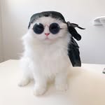 used like new - @thanchaused - Instagram