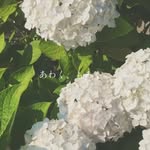 Hoàng Nam Thân - @thanhoangnma - Instagram