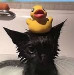Hoàng Thân - Facebook