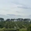 Thân tập làm Sầu Riêng - @thankeo205555 - TikTok
