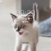 西瓜 - @thankeo050 - TikTok