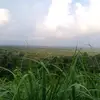 thankeo42 - @thankeo42 - TikTok