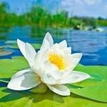Thân Lâm Hoàng - @thanlamhoang - Instagram