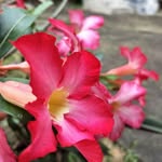 Than Sein - @than.sein.56884 - Instagram