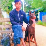 Than Swe - @thanswe155 - Instagram
