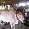 ThanTun - @thantun8151 - TikTok