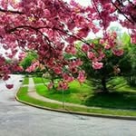 Than Vo - @than.vo - Instagram
