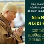 thân vô thường - @thuongthanvo - Instagram