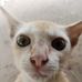 Than Zaw - Facebook