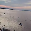 Than zaW - @than.zaw3313 - TikTok