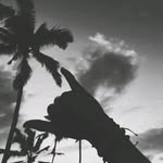 Thando Sibanda - @sibbsthando - Instagram