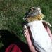 Thane Johnson - Facebook