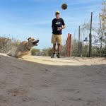 Thane Wright - @wrightthane - Instagram