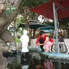 Thang Vo - @thangvo8570 - TikTok