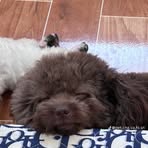 Thanh Tien - Facebook