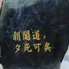 Nhất thủ thao Thiên hạ - @brahmimaha7 - TikTok