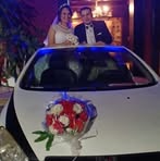 Tharwat Said - Facebook