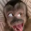 thaymorales4 - @thaymorales4 - TikTok