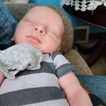 Penny Thayer Davis - @pennypittelkow - Instagram