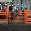 Thayne Davis - @t_davis_01 - TikTok