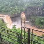 click by Dev - @the.dang.nature_ - Instagram