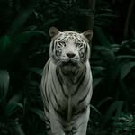the heller - @heller.the - Instagram