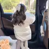 The leroys! - @the.leroys2 - TikTok