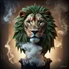 B🦁 - @the.plan2 - TikTok