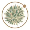 Plant Planet - @theplantplanet - TikTok