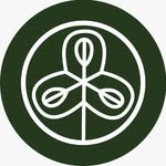 The Plant - @theplantbr - Instagram