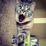 the thao - @thao_le_te - Instagram