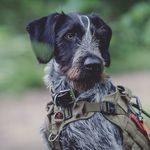 @emilio_the_wire - Instagram