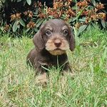 Oh Winnie the Pooh von der tausendjährigen Linde - @winnie_the_wire - Instagram