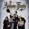 The_Adams_Family_Tiktok - @the_adams_family_8 - TikTok