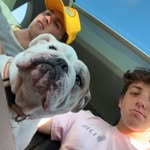 @thea__allen - Instagram
