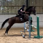 @theabaird.eq - Instagram