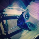 Thea Baker - @the_violet_addiction - Instagram