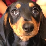 Thea Baker - @sirgeoffofcamberwell - Instagram