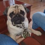 Thea Beckers Eickenboom - Facebook